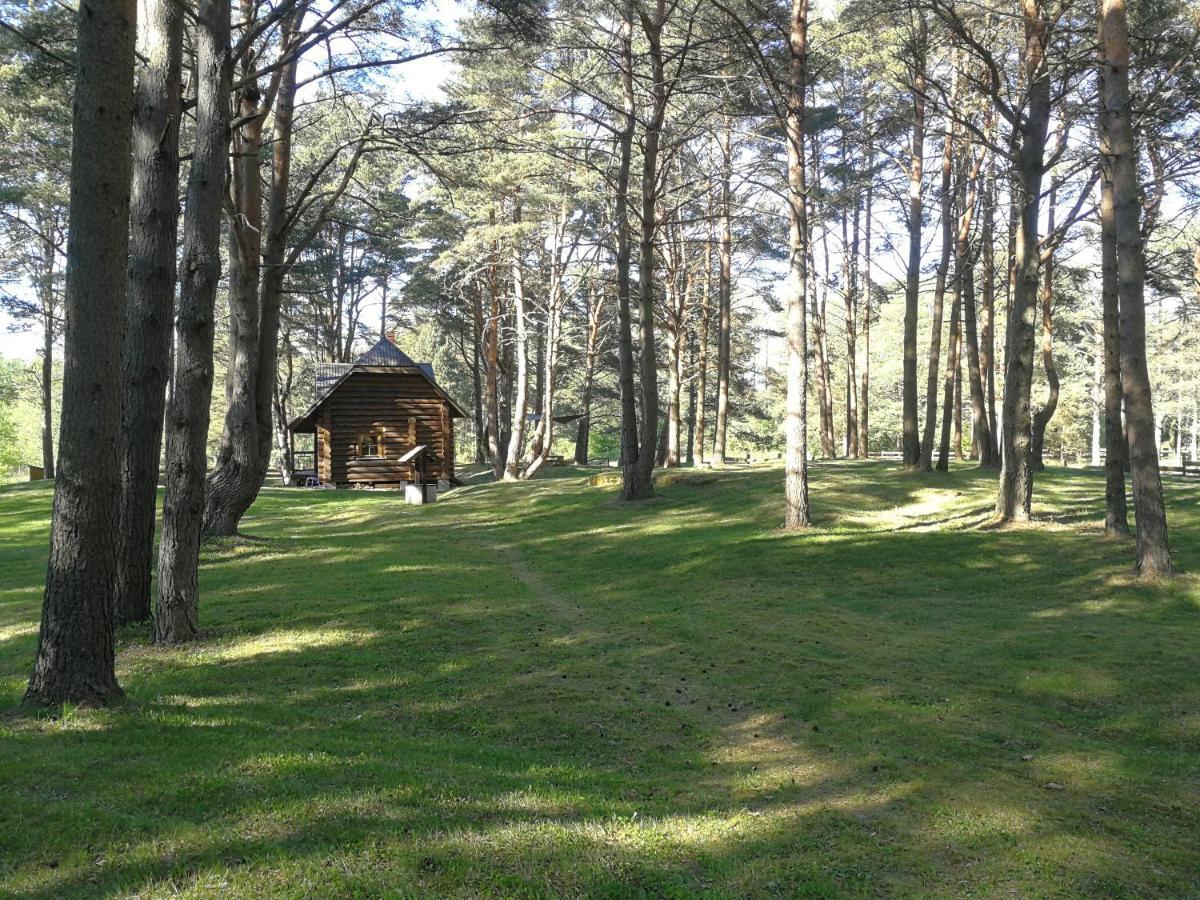 Vejciems Villa Liepene Exterior photo